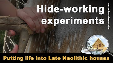 Hide-working Experiments with Flint Scrapers