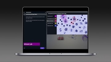 Introducing Pearson Interactive Labs