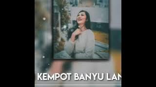 VIDEO LIRIK|BANYU LANGIT DIDI KEMPOT|COVER BY JULIA VIO