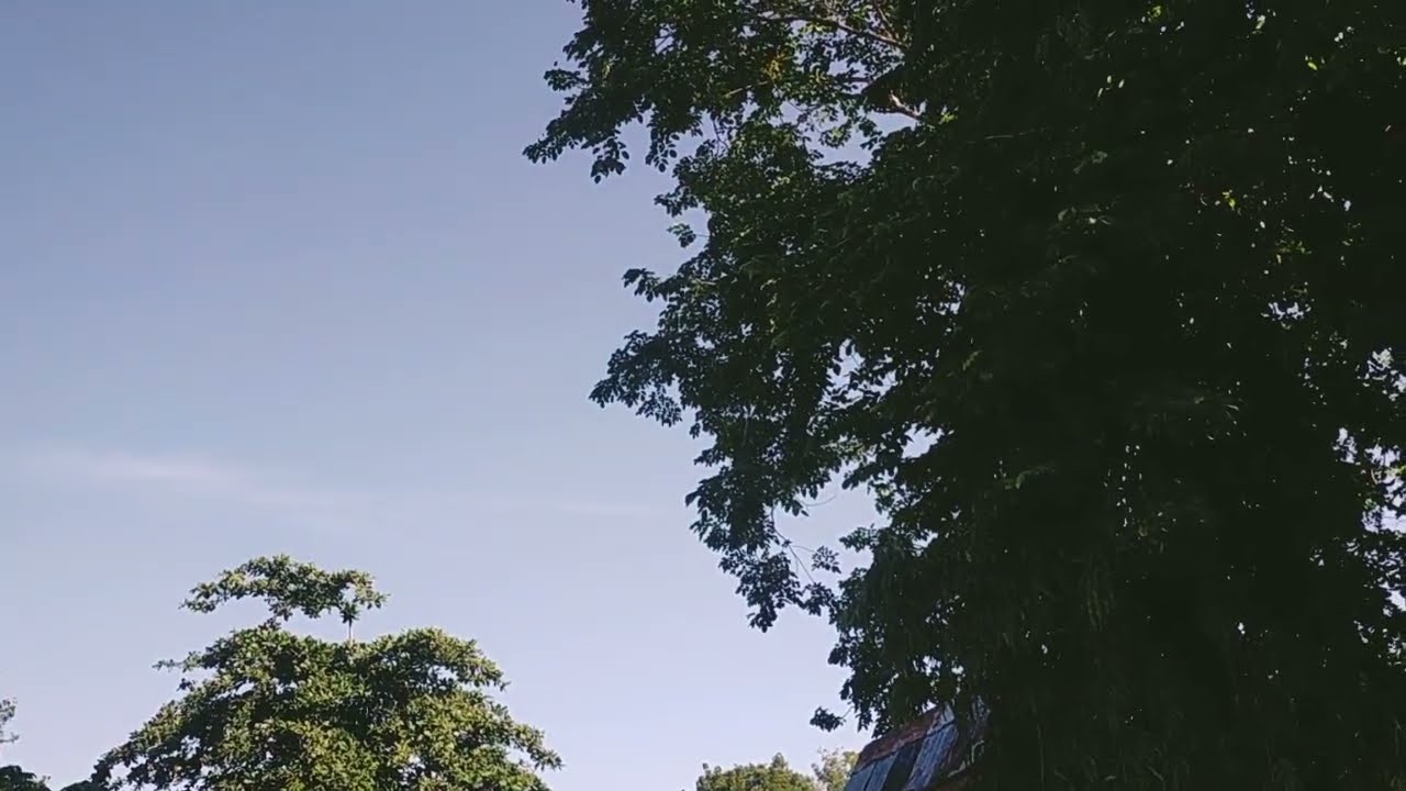 Free Creative Commons Video 1 / Nature / Download, Edit, and Use to Make more Inspiring Video