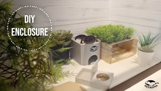 DIY LEOPARD GECKO ENCLOSURE | GECKOPIA