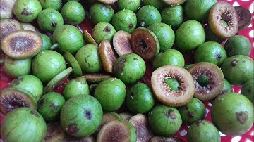 BÀI THUỐC CHỮA BỆNH DẠ DÀY, SỎI GAN,SỎI MẬT VÀ LỢI SỮA CHO MẸ NUÔI CON