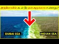        why is sea water in india dirty