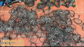 🐁🐁🐁ĐANG MÙA KẸP BÁN NGUYỆT BẮT CHUỘT CHIM CÒ VẠC 🥰🥰🥰🐁