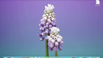 How to Add Shadow On View In IOS Swift 4.2 and XCode 10.1