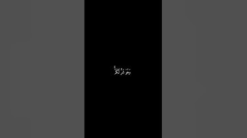 وعسى أن تكرهوا شيئا وهو خير لكم | سورة البقرة القارئ ياسر الدوسري | #قرآن #اكسبلور #قران_كريم #لايك