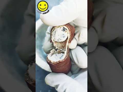 Forever Hemp Gummies Review Real Customer Forever Hemp Gummies Australia Forever Hemp Gummies Nz