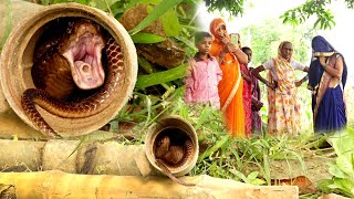 बहुत ही बड़ा नाग जब गुस्से में निकला पाइप से फिर कैसे क्या हुआ। Very Dangerous Cobra Snake Rescue