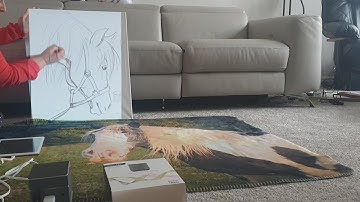 Art tracing painting and projection of a horse with Pico Genie Impact 2 Projector