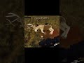 WOTH Gameplay - Mule Deer Headshot #shorts