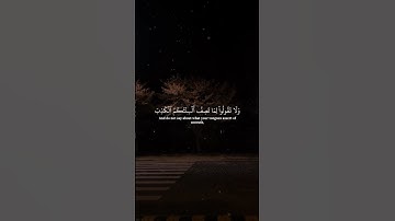القارئ :-(ماهر المعيقلي)سورة :-(النحل) #قران #ماهرالمعيقلي #سورة_النمل #qur49n #quran