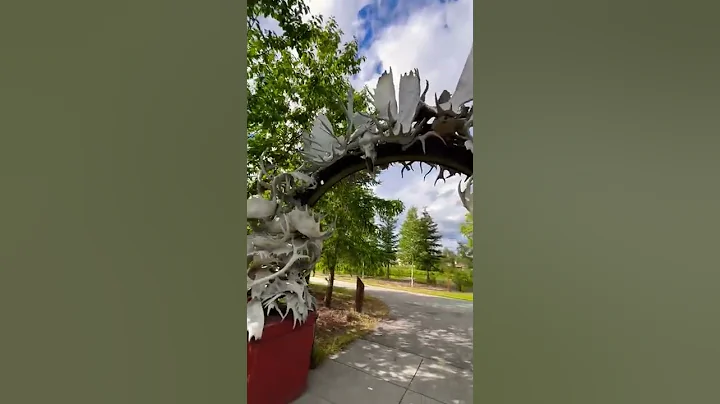 An Arch Made Out of Moose Antlers! 😳 #shorts