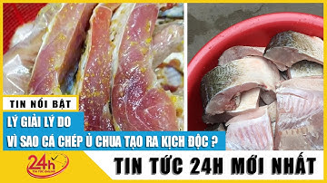 Cập nhật mới nhất vụ ngộ độc cá chép ủ chua: Sức khỏe các nạn nhân tiến triển ra sao?