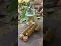 Survival skills: dad shows how to make 100% good Soap and Water