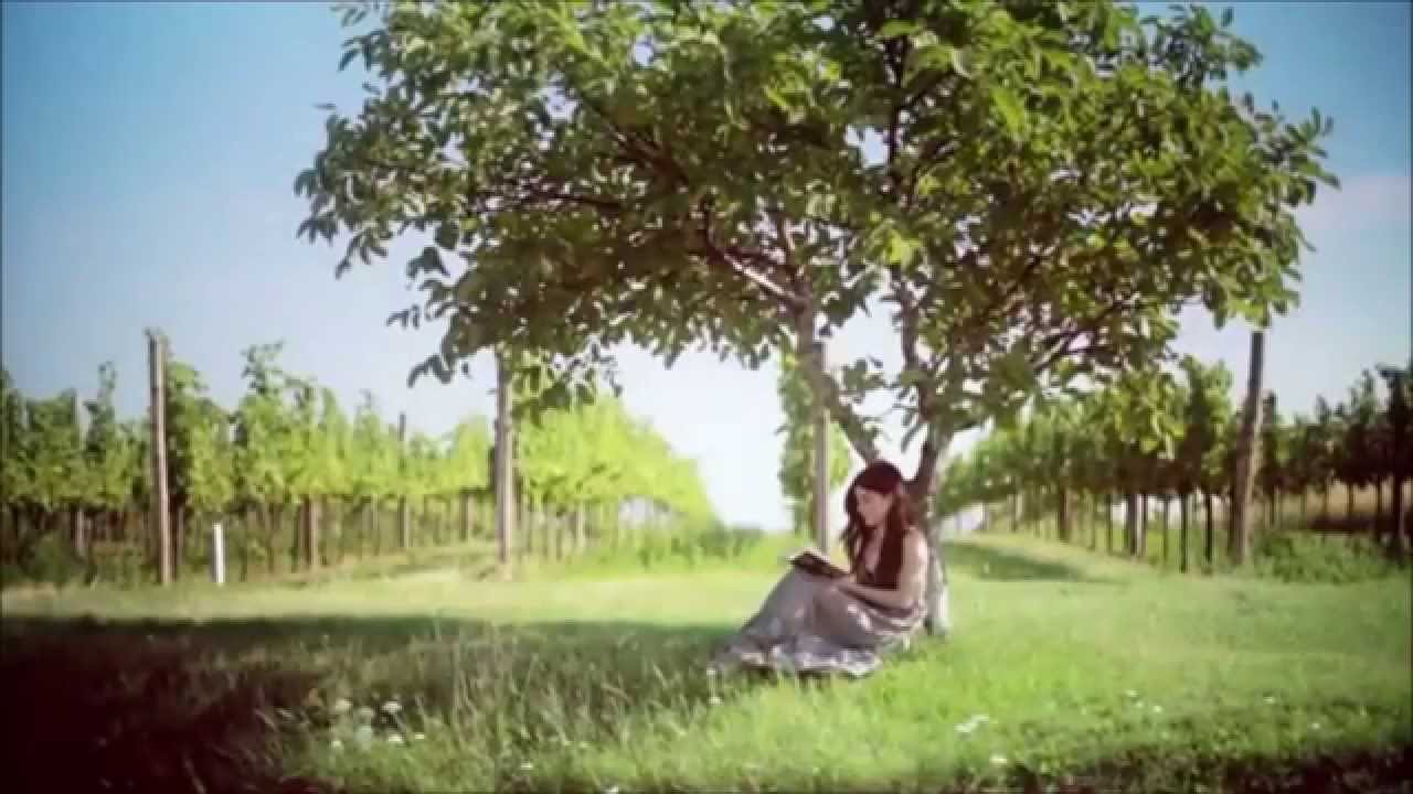 Watch Bonfeel Electro Band--Tonight--Original Mix 2015 on YouTube Watch Bonfeel Electro Band--Tonight--Original Mix 2015 on YouTube