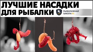 видео: Насаживай червя на крючок правильно. Рыбалка на фидер 2023. картинка: Насаживай червя на крючок правильно. Рыбалка на фидер 2023.