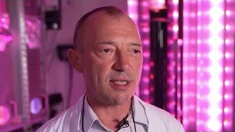 NOSTOC CYANOTERRA PROJECT PITCH VIDEO FOR EIC APPLICATION