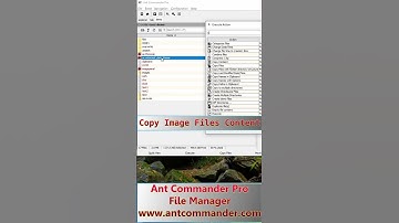 Copy Content of an Image File Without Opening it on Windows #filemanager #clipboard #image