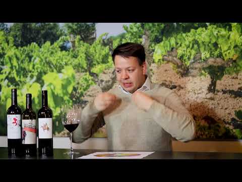 Vitis Vin I TIPS & TRICKS I Hoe proef je wijn I 2021