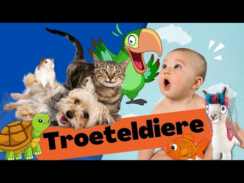 Video: Watter plaasdiere maak goeie troeteldiere?