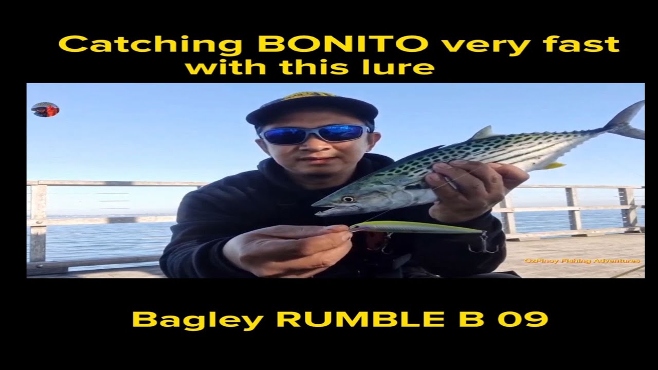 Lures for Bonito and Tailor!, Diptera, Teuthida