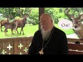 Протоиерей Димитрий Смирнов: "Если ты олень" - мощная проповедь!
