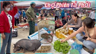 Chợ Phiên Tả Phời - nay có bán thú rừng quý hiếm và nhiều nông sản thảo dược Tây Bắc