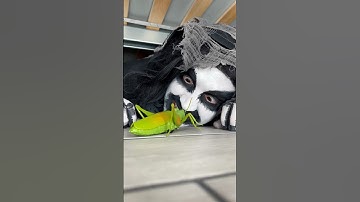 Big insect bites monster 🤣 #shorts