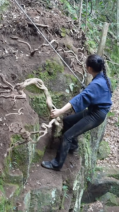 is a bonsai tree from the forest grafted with flowers #bonsai #bonsaitree #bonsailife #moutainlife