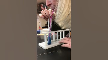 Bromthymol Blue + CO2