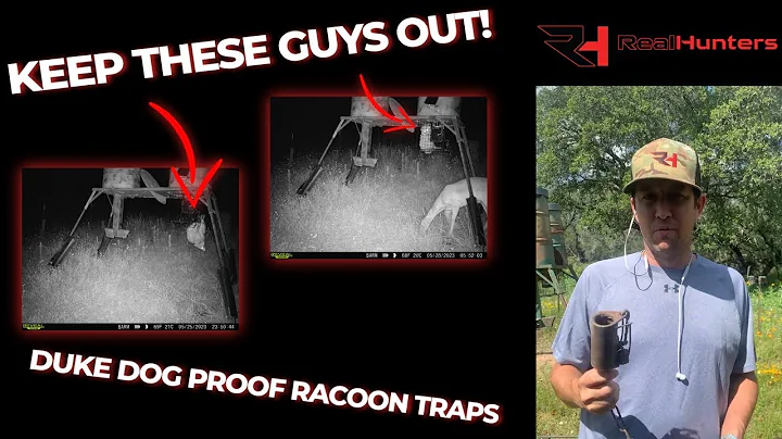 Duke Dog Proof Raccoon Trap Review & Operation Guide