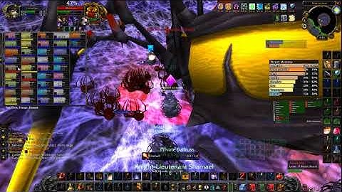 WoW Classic - Naxxramas - Maexxna - No World Buffs