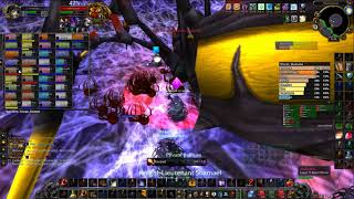 WoW Classic - Naxxramas - Maexxna - No World Buffs