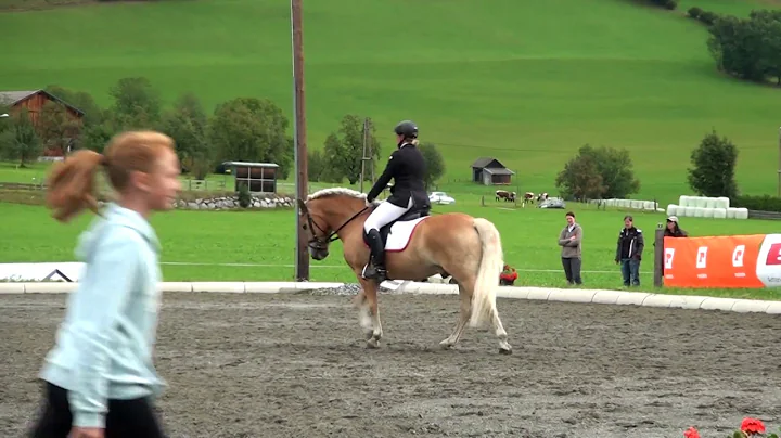 Sandra Lindner - Sonnenmoors Samurai - VH 90A - Pi...