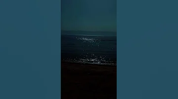 موسيقى لو رحتي بتضلي بقلبي وبعيوني كمان قمر الزمان 