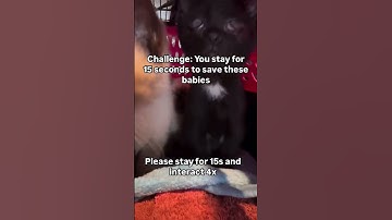 Any little bit of your donation counts. please Link in bio to donate towards saving a life