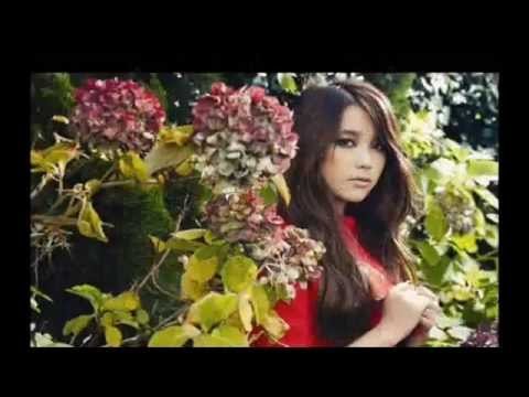 Happy Birthday IU/Lee Ji Eun(아이유/이지은) 16/May/2014