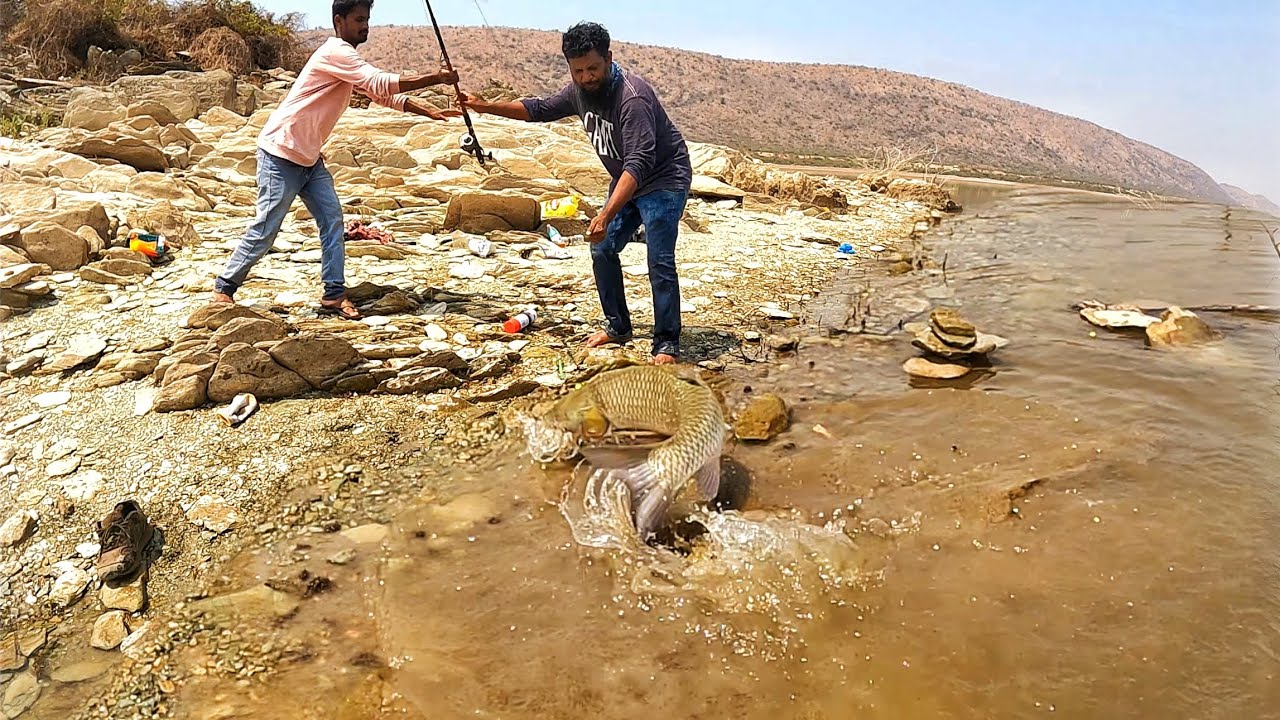 Fishing 🎣 🐬 12.Kg Big Size Gaint Grass Fish in Dam