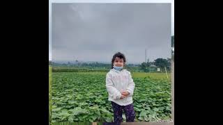 Anak Gembala - Tasya Kamila