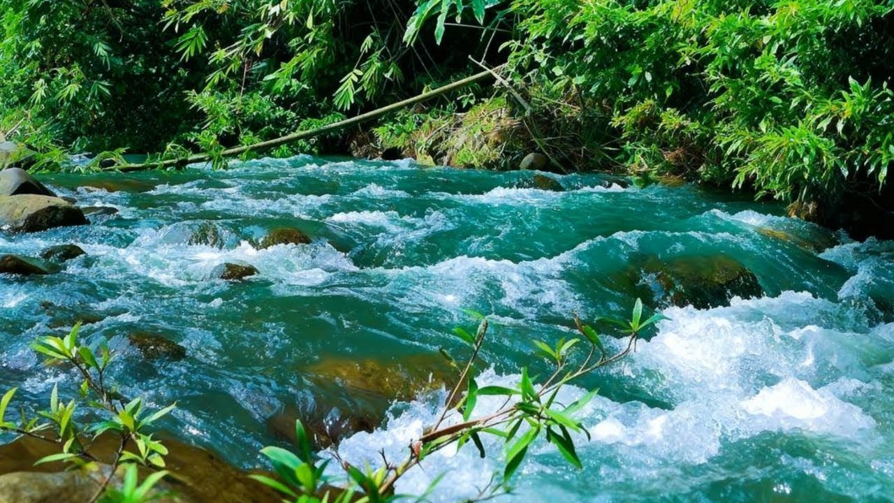 WATER SOUNDS LIVE NATURAL ASMR FOR MEDITATION, MINDFULNESS & INNER PEACE