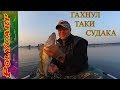 РIKE-PERCH\СРЕЗ ФЛЮРА ЩУКОЙ\ЛОВЛЯ СУДАКА\ЩУКИ\ОКУНЯ НА ДНЕПРЕ