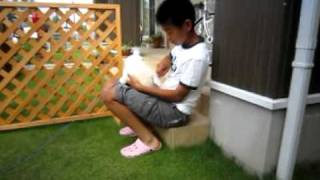 Details 20100627-3.mp4 Guide