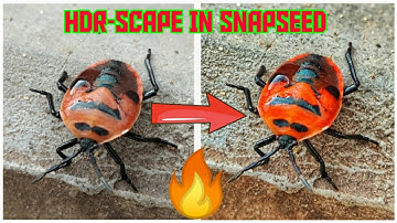 || HDR-Scape Edit In SnapSeed || 🔥🔥 Macro Edit 💯