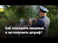 Как пожарить шашлык в Воронеже и не получить штраф?