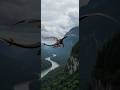 Alien Encounter 😱 | They Found Something Not From Earth 👽#wildlife #animalattack #actionmovies