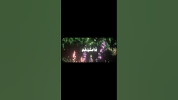 الذين قال لهم الناس 🤍 | سورة آل عمران [١٧٣] #قرآن #قران_كريم #محمد_أيوب #سورة_آل_عمران #تلاوة_خاشعة