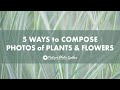 5 Ways to Compose Photographs of Plants and Flowers