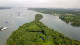 Pulau Ketam Pulau Ubin Singapore