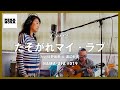 日野美歌 カバー たそがれマイ・ラブ / 大橋純子