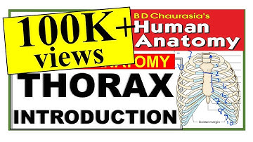 Chp12 | THORAX Introduction | Chest Wall | BD Chaurasia Vol1| Thoracic Cage | Dr Asif Lectures